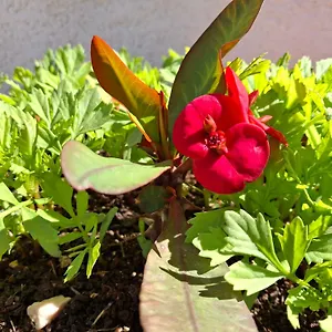 https://amar-seaside.albaniahotels.org