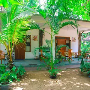 Amba Sewana , Sigiriya Sri Lanka